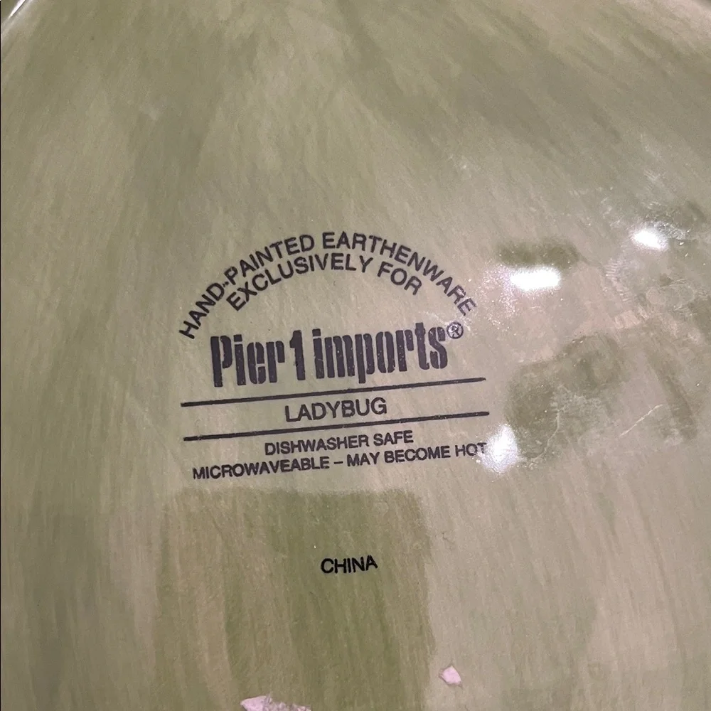 Pier 1 Imports Ladybug Leaf Dinner Plate‎